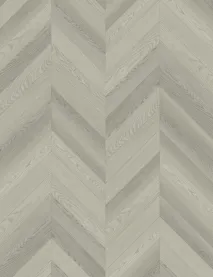 JH18809