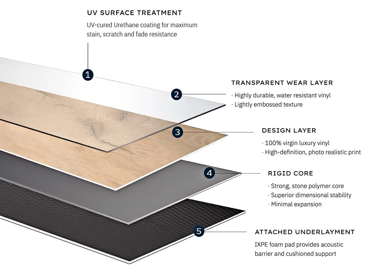 Rigid Core SPC Flooring Structure Anatomy