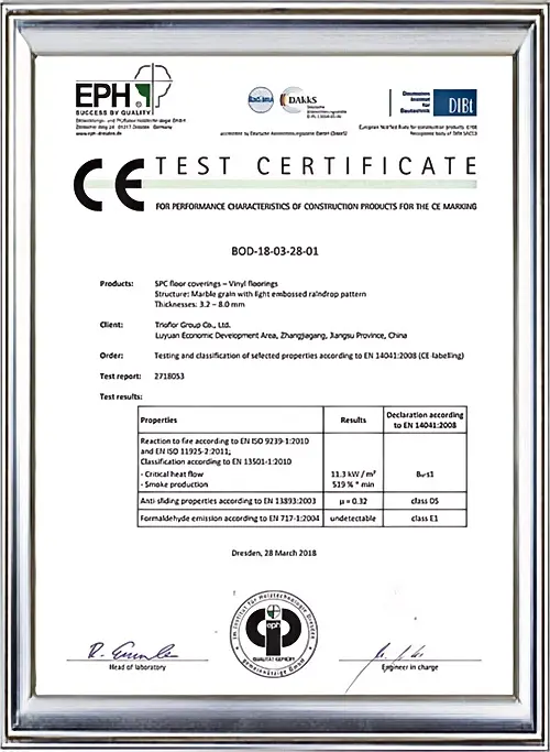 CE Test Certificate Authentication Records